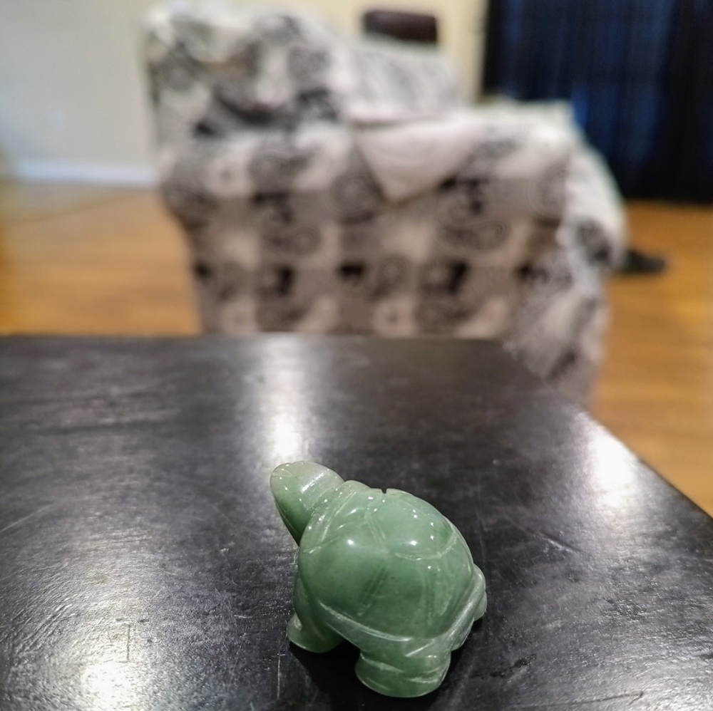 Turtle Green Aventurine Crystal (1) - Picture 6 of 8